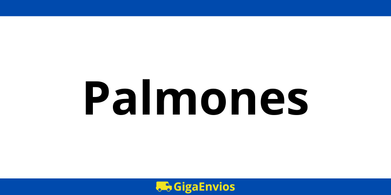 Contacto gratuito oficina ParcelShop GLS Palmones